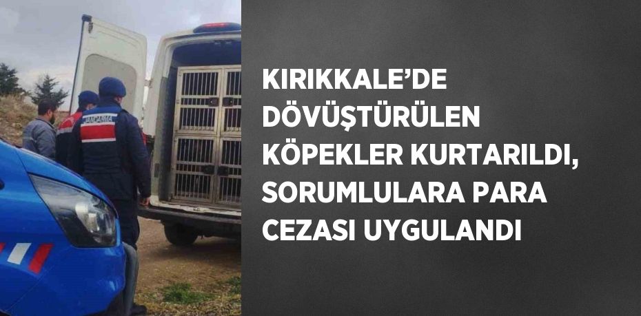 KIRIKKALE’DE DÖVÜŞTÜRÜLEN KÖPEKLER KURTARILDI, SORUMLULARA PARA CEZASI UYGULANDI