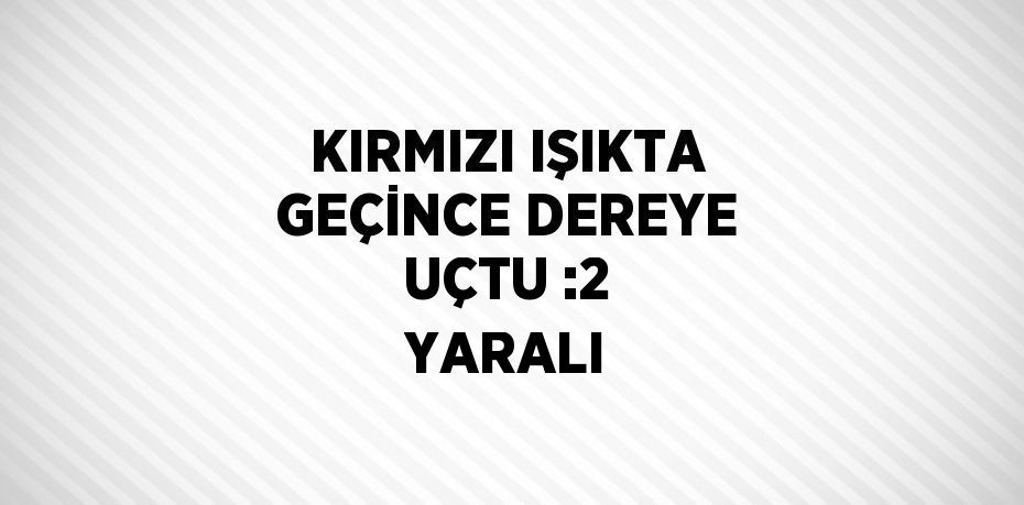 KIRMIZI IŞIKTA GEÇİNCE DEREYE UÇTU :2 YARALI