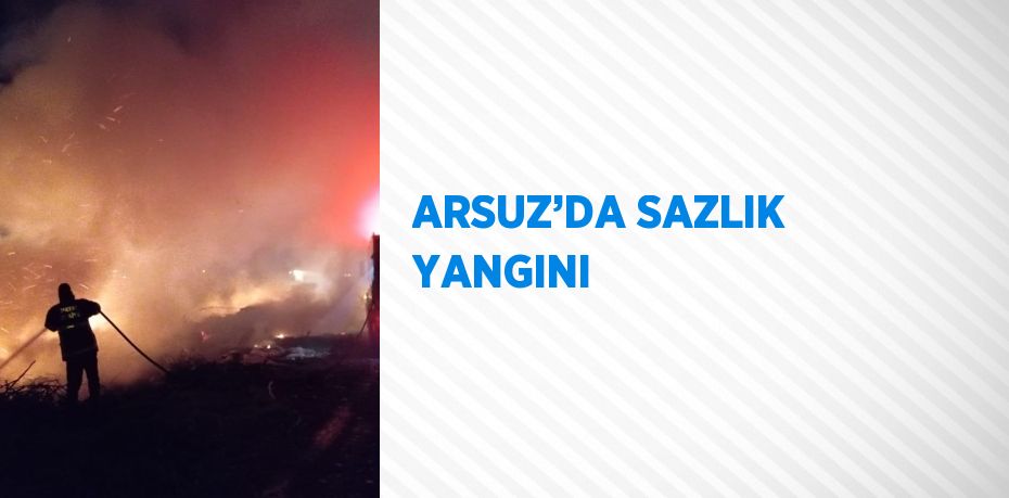 ARSUZ’DA SAZLIK YANGINI