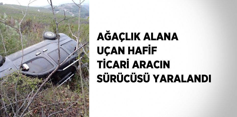 AĞAÇLIK ALANA UÇAN HAFİF TİCARİ ARACIN SÜRÜCÜSÜ YARALANDI