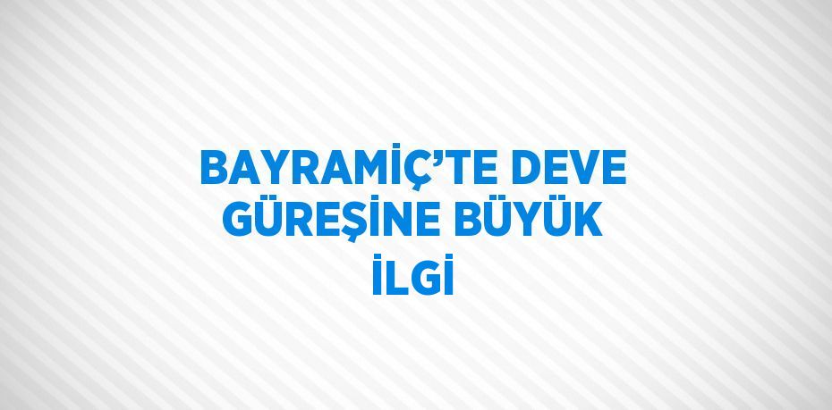 BAYRAMİÇ’TE DEVE GÜREŞİNE BÜYÜK İLGİ