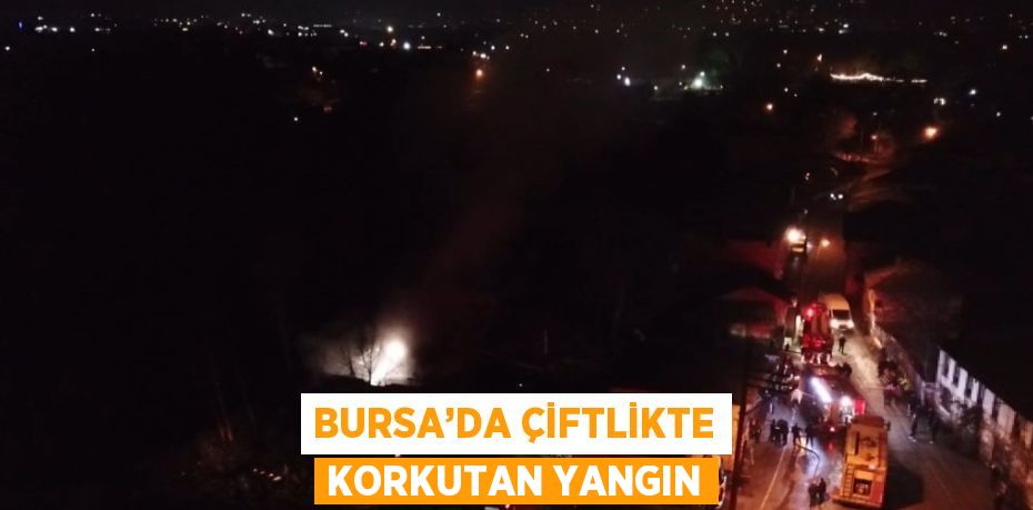 BURSA’DA ÇİFTLİKTE KORKUTAN YANGIN