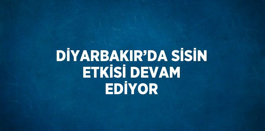 DİYARBAKIR’DA SİSİN ETKİSİ DEVAM EDİYOR