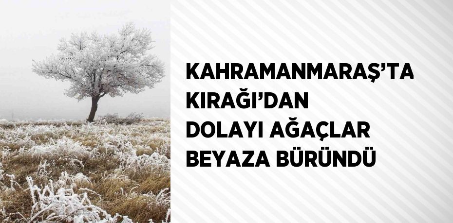 KAHRAMANMARAŞ’TA KIRAĞI’DAN DOLAYI AĞAÇLAR BEYAZA BÜRÜNDÜ