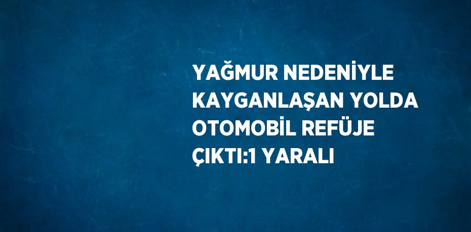 YAĞMUR NEDENİYLE KAYGANLAŞAN YOLDA OTOMOBİL REFÜJE ÇIKTI:1 YARALI