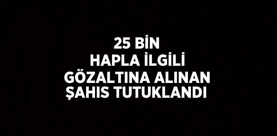 25 BİN HAPLA İLGİLİ GÖZALTINA ALINAN ŞAHIS TUTUKLANDI