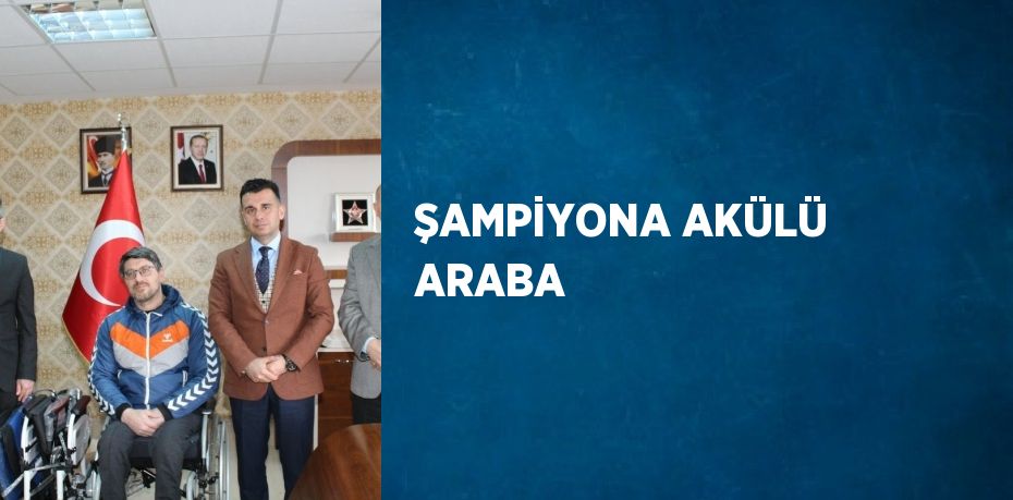 ŞAMPİYONA AKÜLÜ ARABA