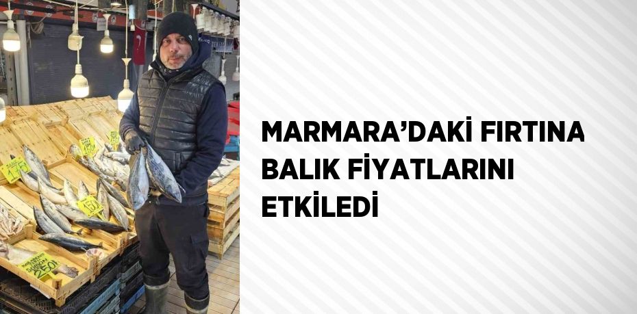 MARMARA’DAKİ FIRTINA BALIK FİYATLARINI ETKİLEDİ