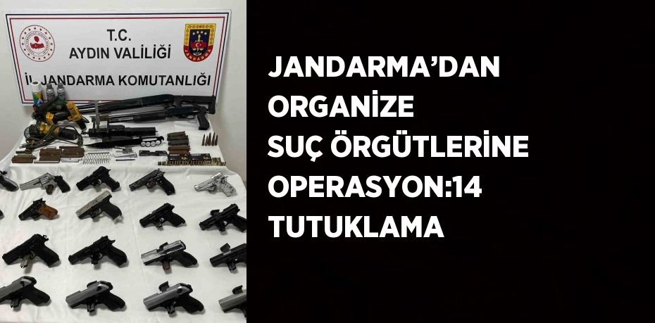 JANDARMA’DAN ORGANİZE SUÇ ÖRGÜTLERİNE OPERASYON:14 TUTUKLAMA
