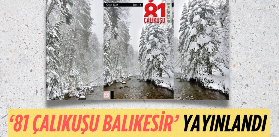 ‘81 ÇALIKUŞU BALIKESİR’ YAYINLANDI