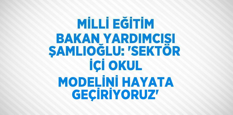 MİLLİ EĞİTİM BAKAN YARDIMCISI ŞAMLIOĞLU: 'SEKTÖR İÇİ OKUL MODELİNİ HAYATA GEÇİRİYORUZ'