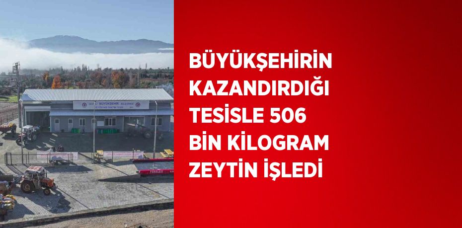 BÜYÜKŞEHİRİN KAZANDIRDIĞI TESİSLE 506 BİN KİLOGRAM ZEYTİN İŞLEDİ