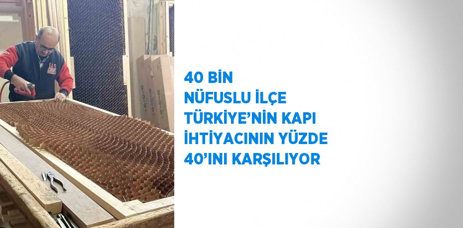 40 BİN NÜFUSLU İLÇE TÜRKİYE’NİN KAPI İHTİYACININ YÜZDE 40’INI KARŞILIYOR