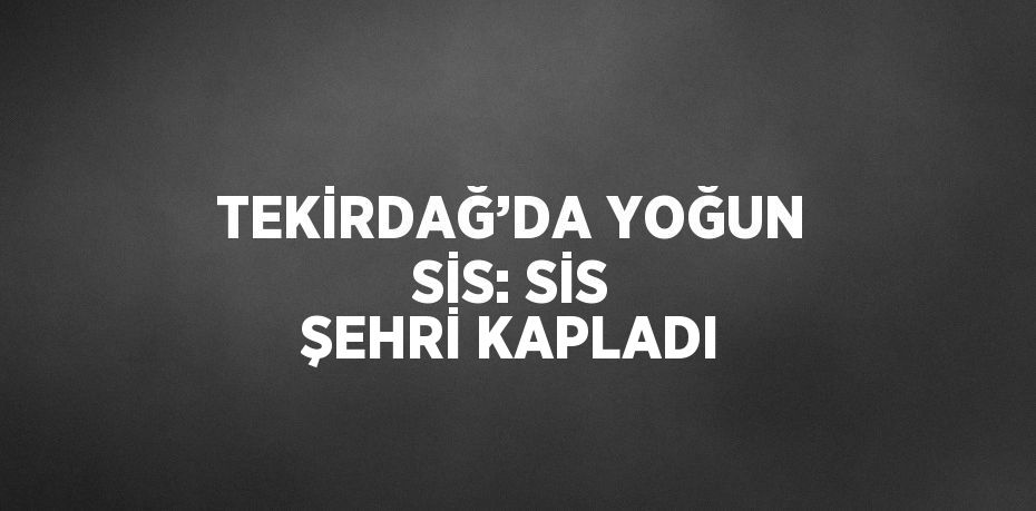 TEKİRDAĞ’DA YOĞUN SİS: SİS ŞEHRİ KAPLADI
