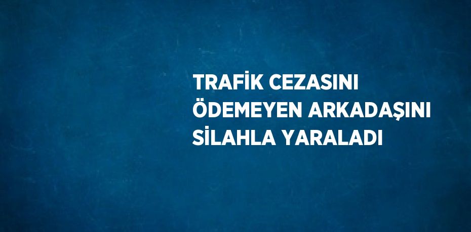 TRAFİK CEZASINI ÖDEMEYEN ARKADAŞINI SİLAHLA YARALADI