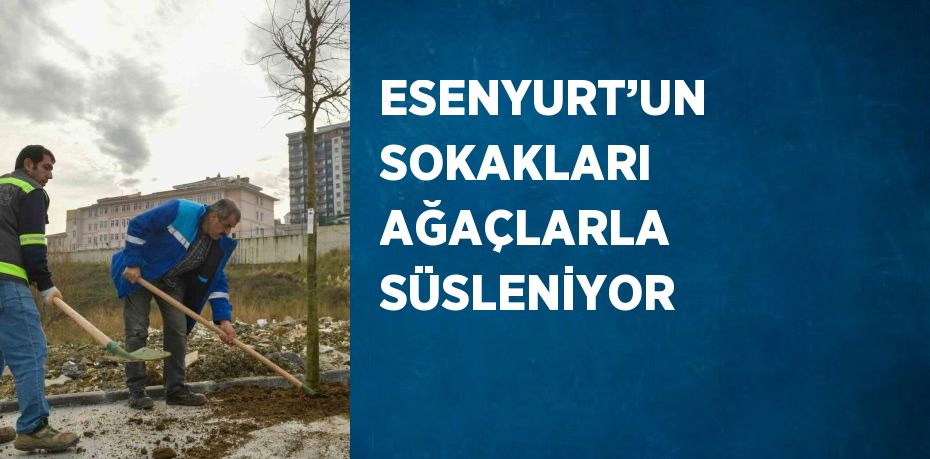 ESENYURT’UN SOKAKLARI AĞAÇLARLA SÜSLENİYOR