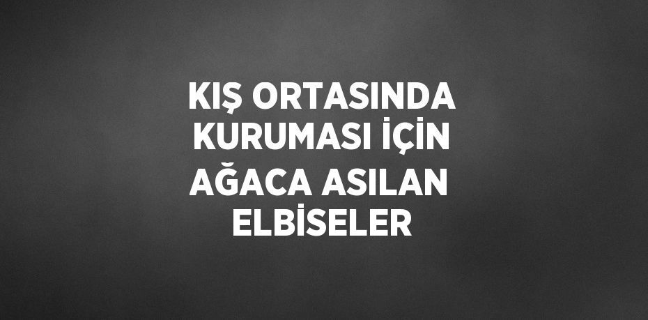 KIŞ ORTASINDA KURUMASI İÇİN AĞACA ASILAN ELBİSELER