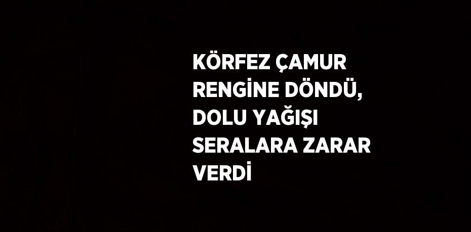 KÖRFEZ ÇAMUR RENGİNE DÖNDÜ, DOLU YAĞIŞI SERALARA ZARAR VERDİ