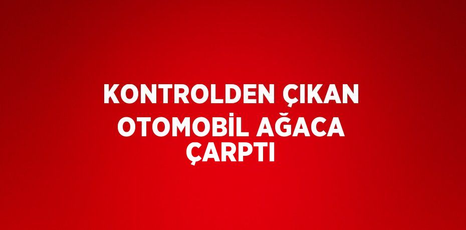 KONTROLDEN ÇIKAN OTOMOBİL AĞACA ÇARPTI