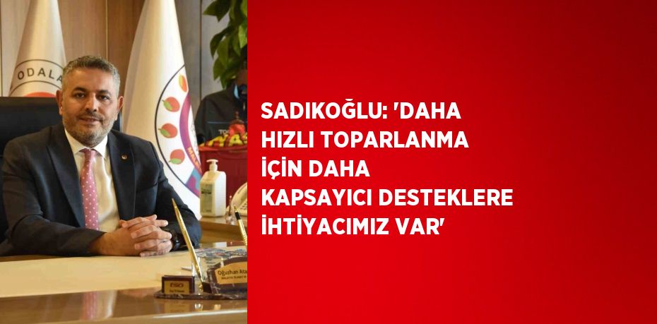 SADIKOĞLU: 'DAHA HIZLI TOPARLANMA İÇİN DAHA KAPSAYICI DESTEKLERE İHTİYACIMIZ VAR'