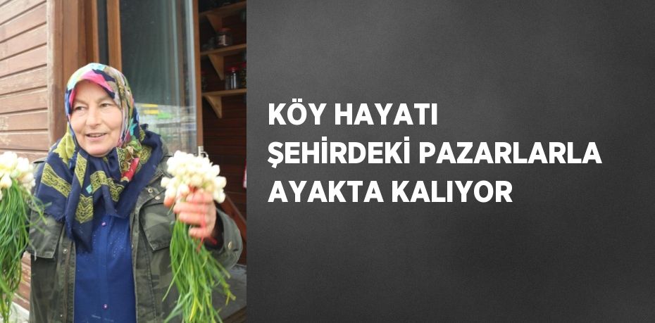 KÖY HAYATI ŞEHİRDEKİ PAZARLARLA AYAKTA KALIYOR