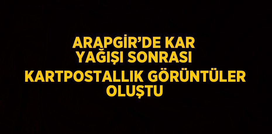 ARAPGİR’DE KAR YAĞIŞI SONRASI KARTPOSTALLIK GÖRÜNTÜLER OLUŞTU