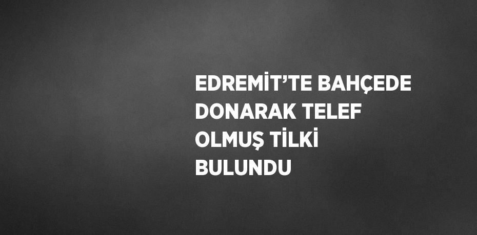 EDREMİT’TE BAHÇEDE DONARAK TELEF OLMUŞ TİLKİ BULUNDU