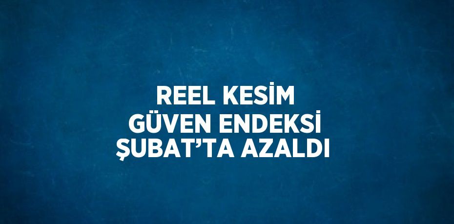 REEL KESİM GÜVEN ENDEKSİ ŞUBAT’TA AZALDI