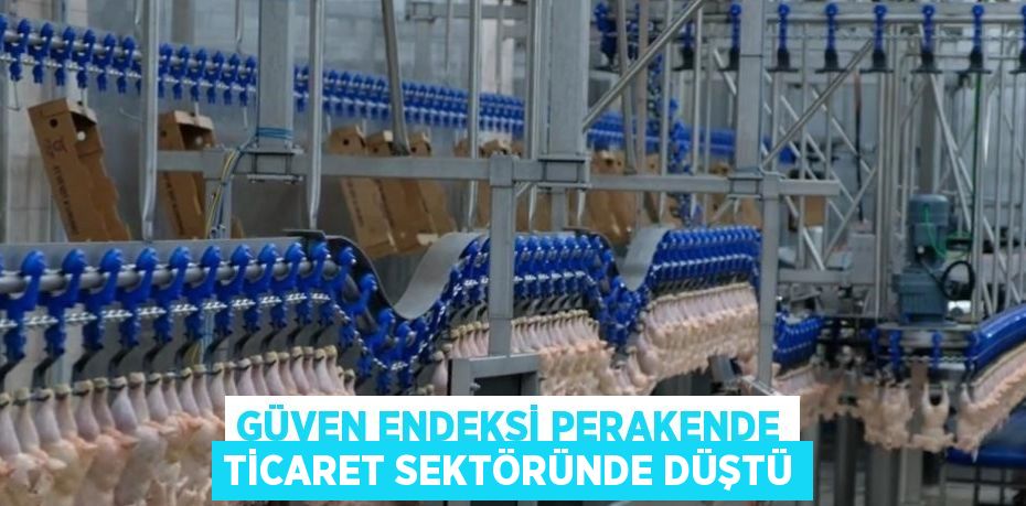 GÜVEN ENDEKSİ PERAKENDE TİCARET SEKTÖRÜNDE DÜŞTÜ