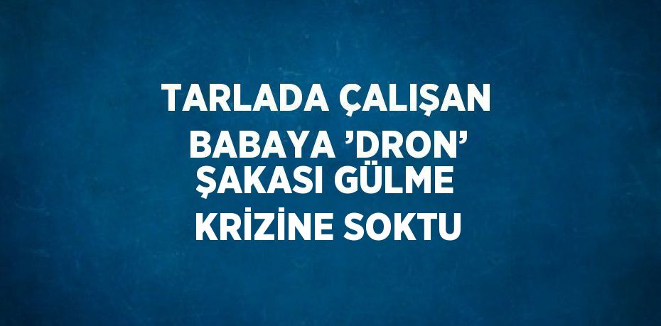 TARLADA ÇALIŞAN BABAYA ’DRON’ ŞAKASI GÜLME KRİZİNE SOKTU