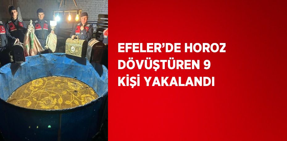 EFELER’DE HOROZ DÖVÜŞTÜREN 9 KİŞİ YAKALANDI