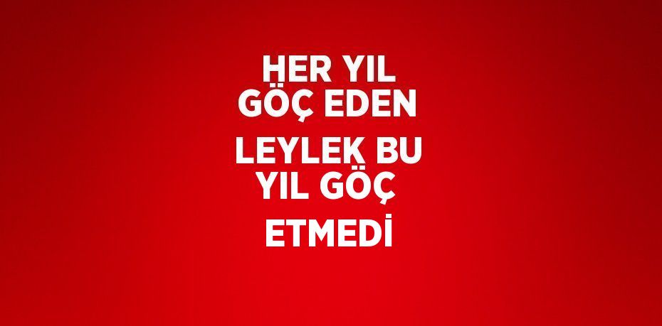 HER YIL GÖÇ EDEN LEYLEK BU YIL GÖÇ ETMEDİ