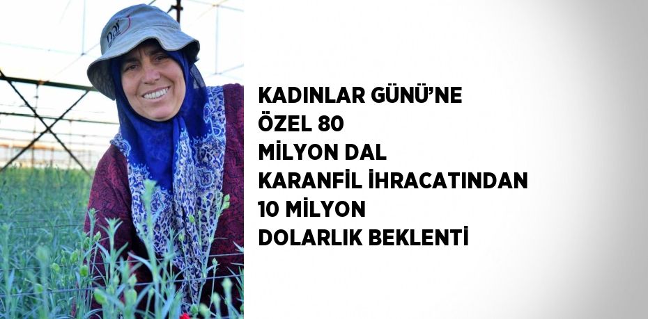 KADINLAR GÜNÜ’NE ÖZEL 80 MİLYON DAL KARANFİL İHRACATINDAN 10 MİLYON DOLARLIK BEKLENTİ