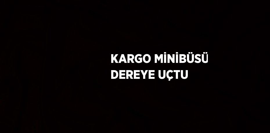 KARGO MİNİBÜSÜ DEREYE UÇTU