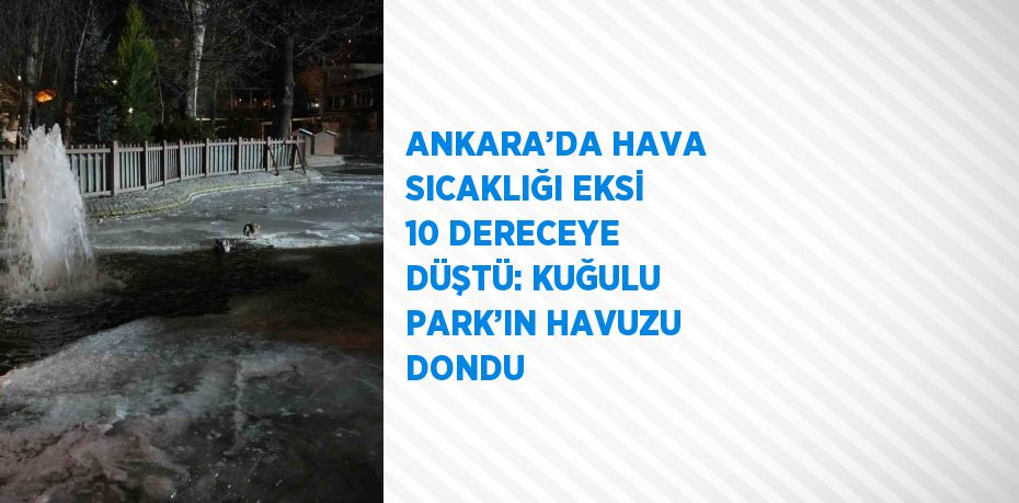 ANKARA’DA HAVA SICAKLIĞI EKSİ 10 DERECEYE DÜŞTÜ: KUĞULU PARK’IN HAVUZU DONDU