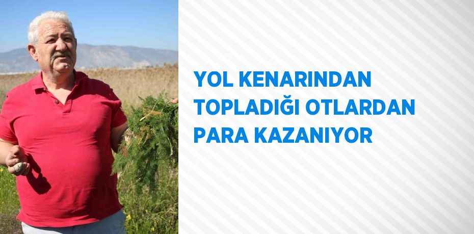 YOL KENARINDAN TOPLADIĞI OTLARDAN PARA KAZANIYOR