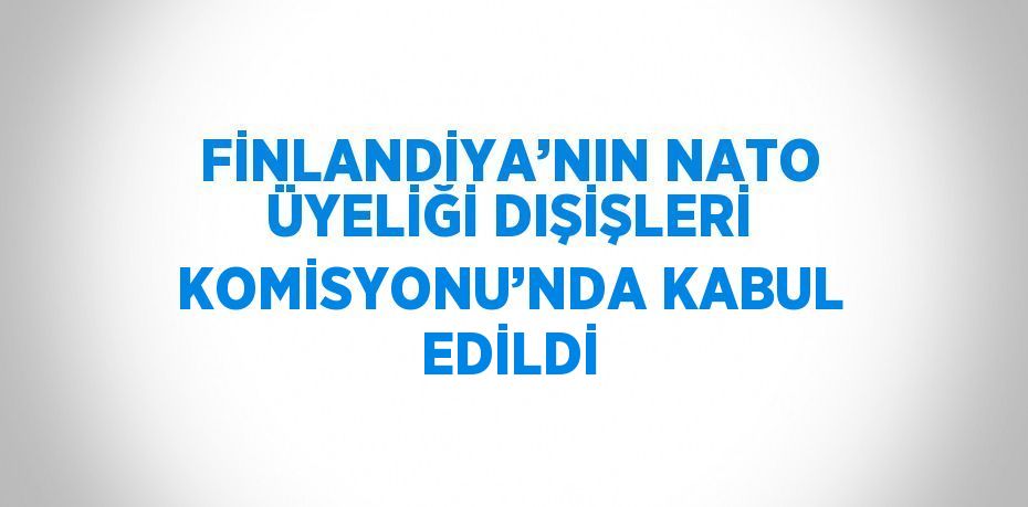 FİNLANDİYA’NIN NATO ÜYELİĞİ DIŞİŞLERİ KOMİSYONU’NDA KABUL EDİLDİ