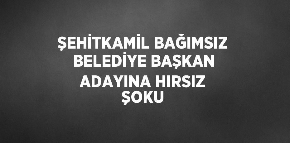 ŞEHİTKAMİL BAĞIMSIZ BELEDİYE BAŞKAN ADAYINA HIRSIZ ŞOKU