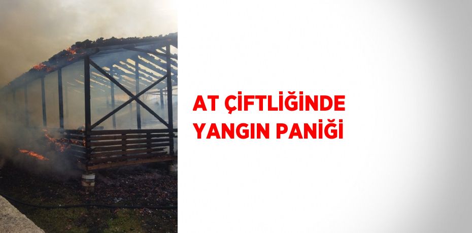 AT ÇİFTLİĞİNDE YANGIN PANİĞİ