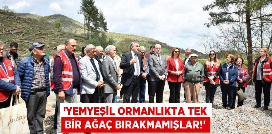 “YEMYEŞİL ORMANLIKTA TEK BİR AĞAÇ BIRAKMAMIŞLAR!”