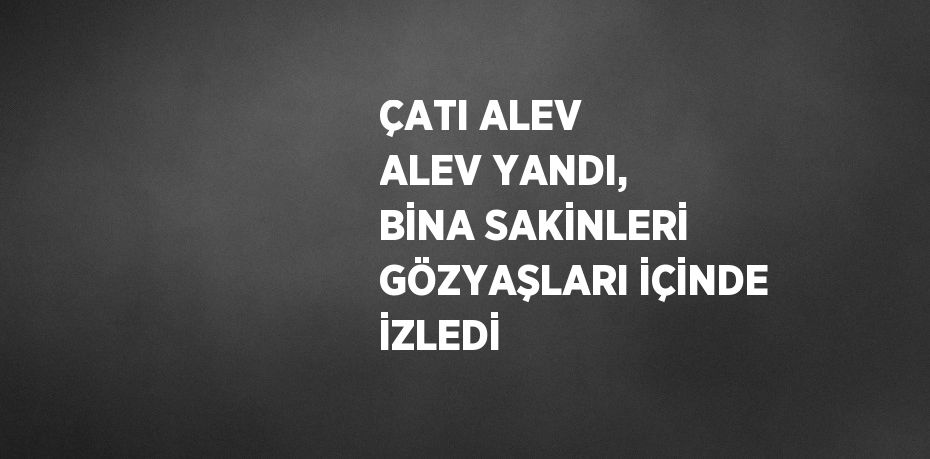 ÇATI ALEV ALEV YANDI, BİNA SAKİNLERİ GÖZYAŞLARI İÇİNDE İZLEDİ