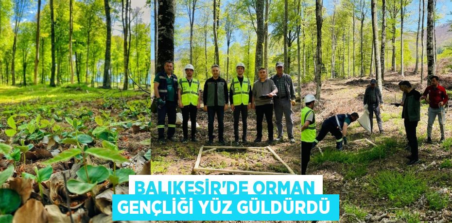 BALIKESİR’DE ORMAN GENÇLİĞİ YÜZ GÜLDÜRDÜ