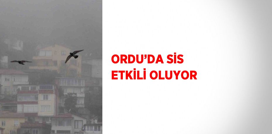 ORDU’DA SİS ETKİLİ OLUYOR