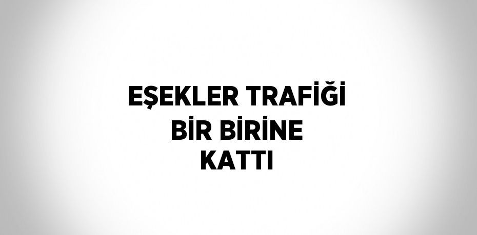 EŞEKLER TRAFİĞİ BİR BİRİNE KATTI