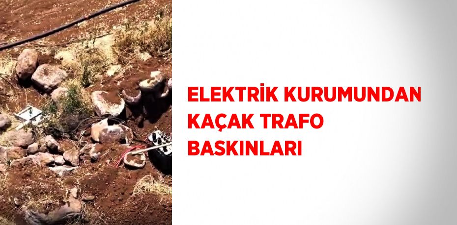 ELEKTRİK KURUMUNDAN KAÇAK TRAFO BASKINLARI