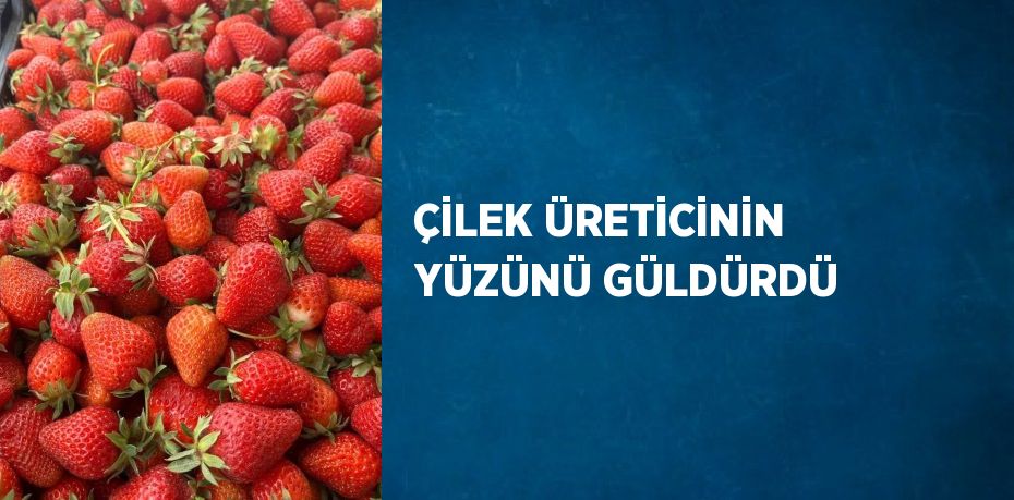 ÇİLEK ÜRETİCİNİN YÜZÜNÜ GÜLDÜRDÜ