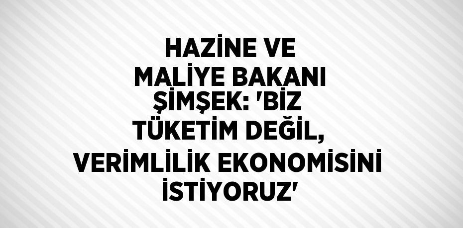 HAZİNE VE MALİYE BAKANI ŞİMŞEK: 'BİZ TÜKETİM DEĞİL, VERİMLİLİK EKONOMİSİNİ İSTİYORUZ'