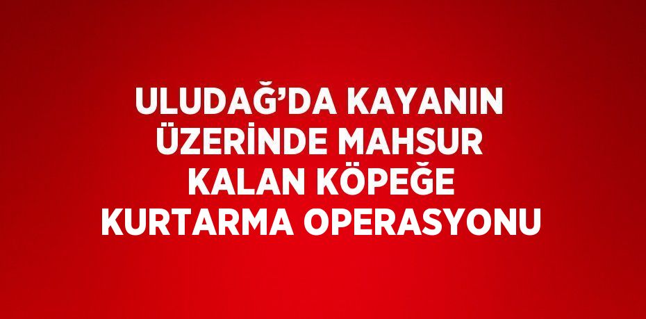 ULUDAĞ’DA KAYANIN ÜZERİNDE MAHSUR KALAN KÖPEĞE KURTARMA OPERASYONU