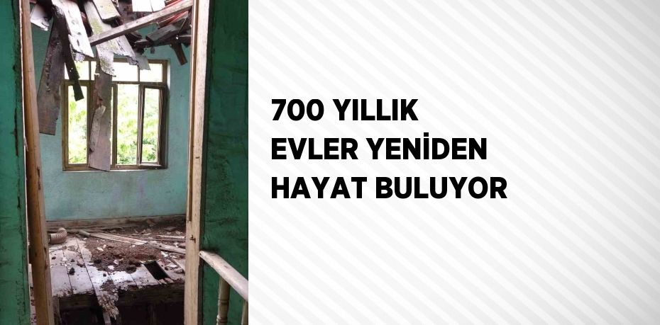 700 YILLIK EVLER YENİDEN HAYAT BULUYOR