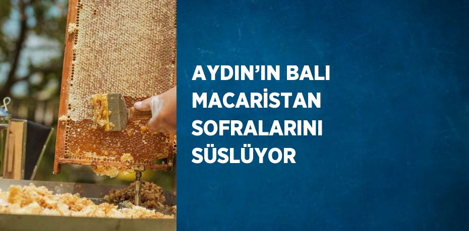 AYDIN’IN BALI MACARİSTAN SOFRALARINI SÜSLÜYOR